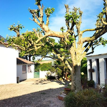 Vila Quinta Santo Antonio Pereiro da Palhacana Exteriér fotografie