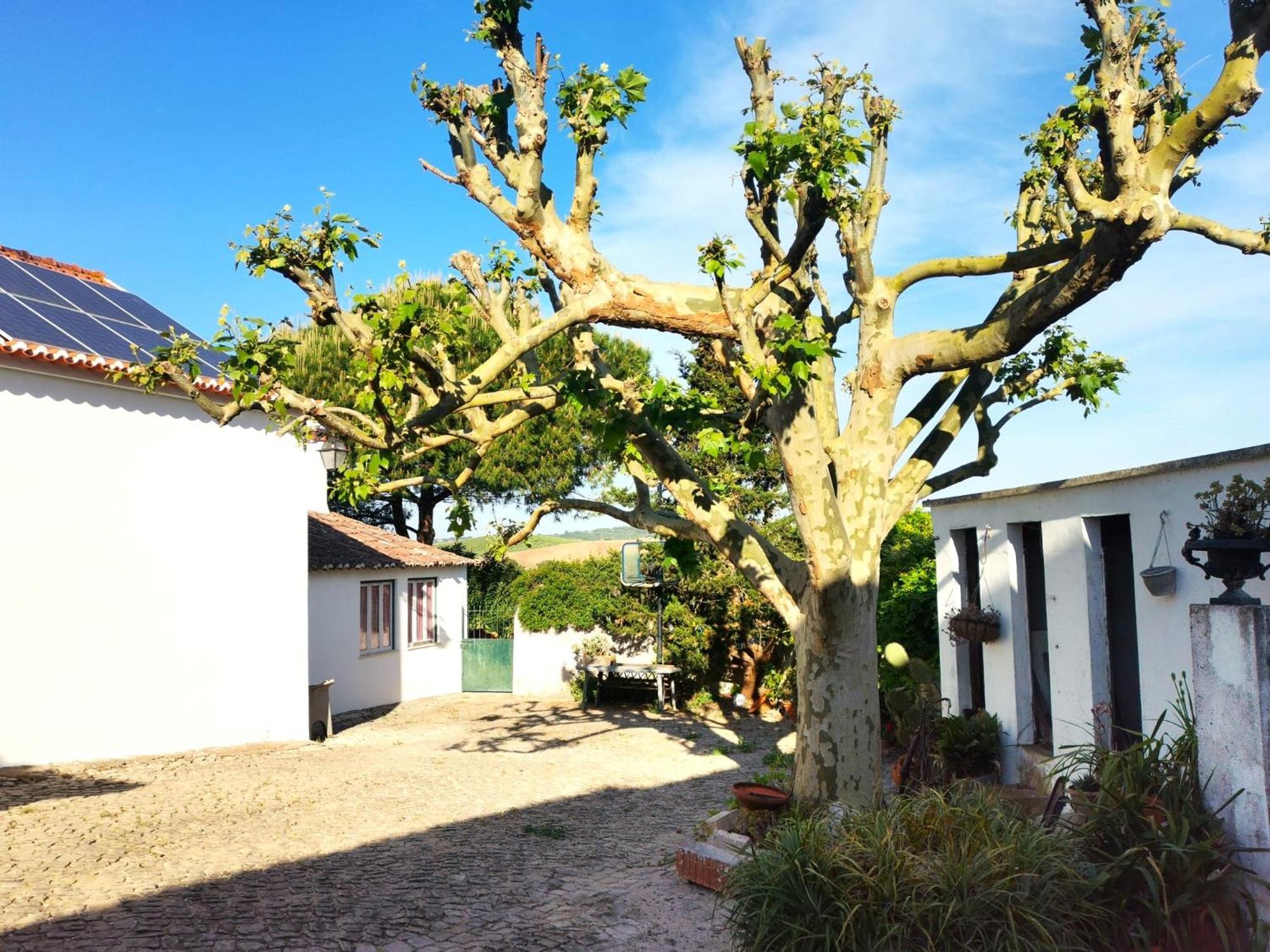 Vila Quinta Santo Antonio Pereiro da Palhacana Exteriér fotografie