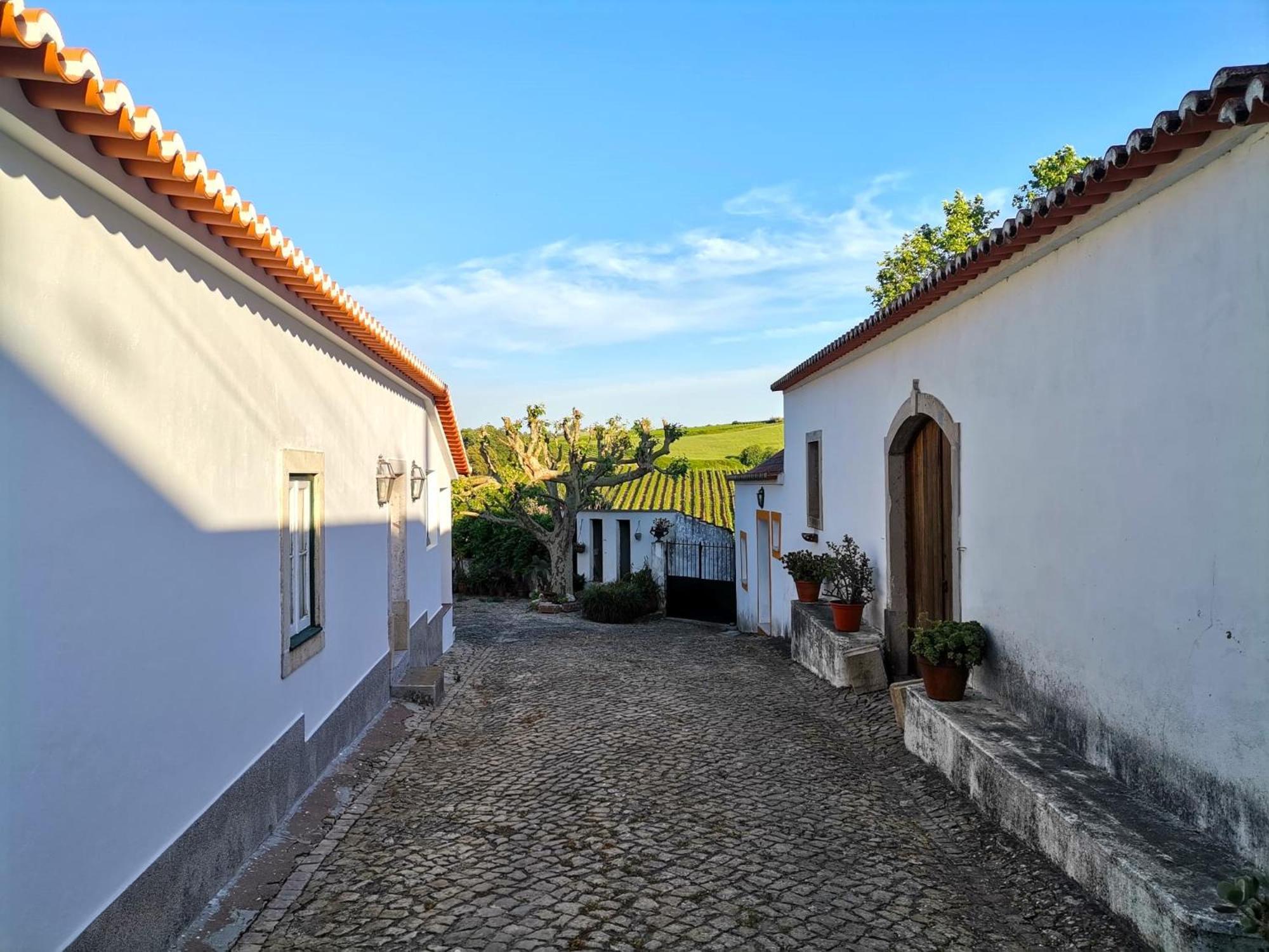 Vila Quinta Santo Antonio Pereiro da Palhacana Exteriér fotografie